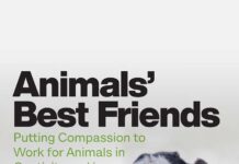 Animals’ Best Friends