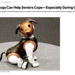 Robot Dogs Can Help Seniors Cope…