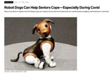Robot Dogs Can Help Seniors Cope…