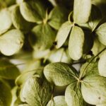 pexels-photo-5978613